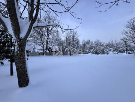 Земельный участок, г.о. Пушкинский, деревня Артёмово, 48, #id2028097