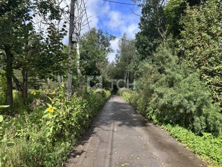 Земельный участок, г.о. Пушкинский, Пушкино, Советская улица, 2, #id1740690