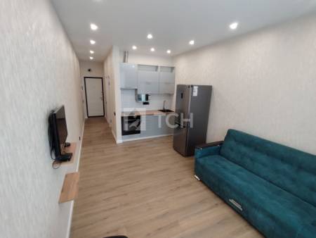 Квартира-студия, посёлок Вёшки, Третьяковская улица, 1, #id1993592