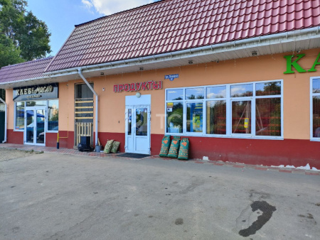 Дом, г.о. Серпухов, посёлок Большевик, улица Карпова, 54Ж, #id1519177