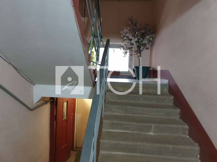 1-комн. квартира, Черкизово, ул Тарасовская, 6 #id274887