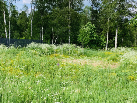 Земельный участок, Дмитровский г.о., коттеджный посёлок Медовое, улица Братьев Политовых, #id1229032