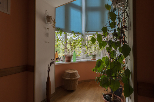 Дом, г.о. Пушкинский, Ивантеевка, Пионерская улица, 3, #id1119143