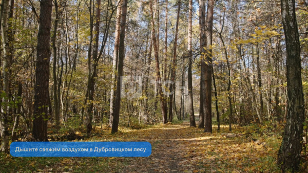 3-комн. квартира, село Остафьево, к15, #id1292057