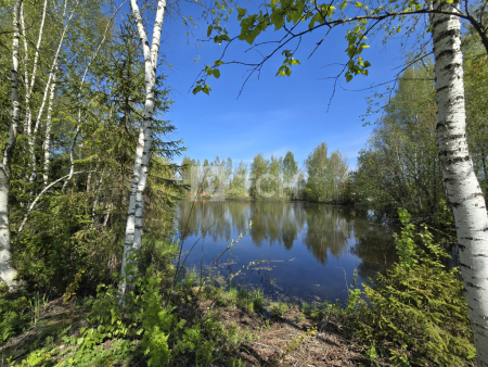 Дом, г.о. Пушкинский, СНТ Никулино, #id1610593