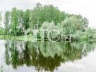 Участок, Пушкинский #id283883