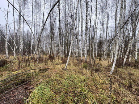 Земельный участок, Сергиево-Посадский г.о., Сергиев Посад, Суворицкая улица, #id1913831