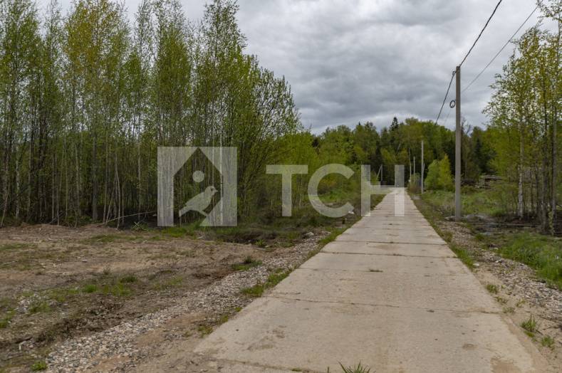 Земельный участок, г.о. Пушкинский, коттеджный посёлок Пушкинский Лес, #id359536