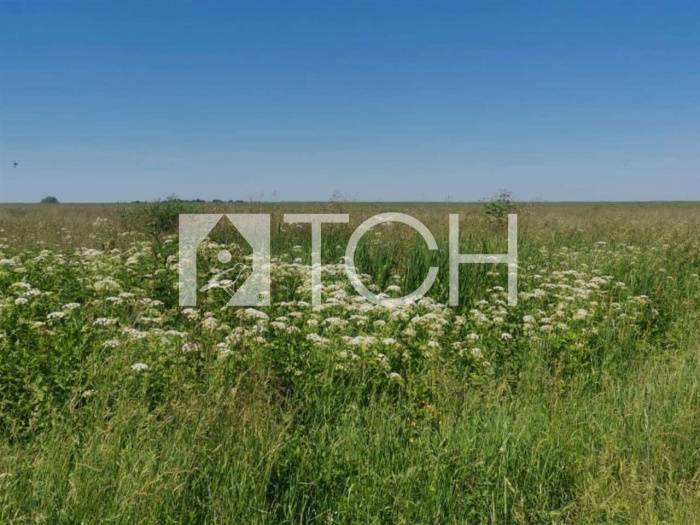 Участок, Дмитровский #id274059