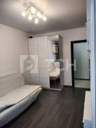 1-комн. Квартира, деревня Бородино, Малая Бородинская улица, 1к1, #id376825