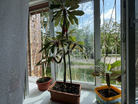 1-комн. квартира, посёлок Биокомбината, 16, #id1215052