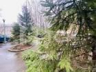 4-комн. квартира, Королёв, улица Циолковского, 14/16, #id360441
