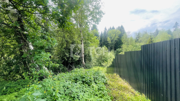 Земельный участок, г.о. Лосино-Петровский, деревня Мизиново, #id1498864