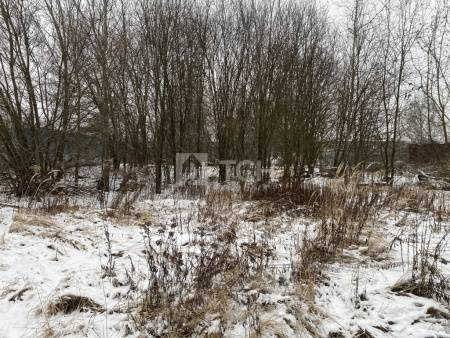 Земельный участок, г.о. Пушкинский, село Левково, #id1984635