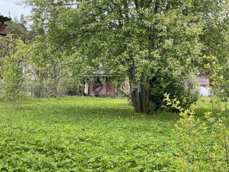 Земельный участок, г.о. Лосино-Петровский, деревня Орловка, Новая улица, #id1707651