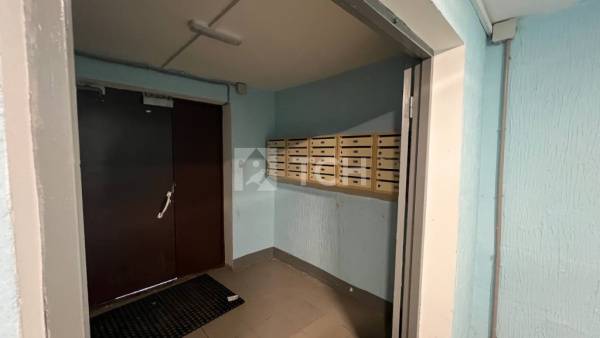 Квартира-студия, деревня Большие Жеребцы, 1к3, #id2047664