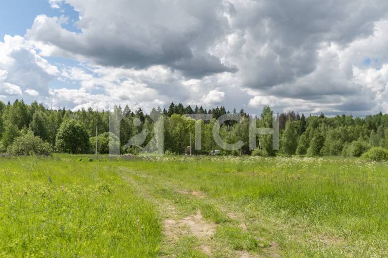 Земельный участок, г.о. Пушкинский, деревня Мартьянково, #id396607