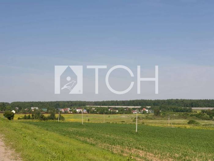 Участок, Пушкинский, СНТ Простор #id285135