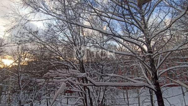 3-комн. квартира, Королёв, улица Папанина, 7, #id1992183