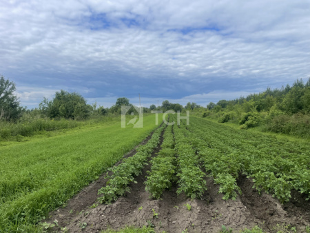 Дом, г.о. Луховицы, село Любичи, Советская улица, 27, #id994201