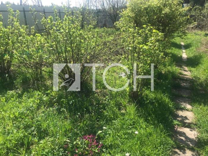 Дом, Ивантеевка, ул Трудовая #id282576
