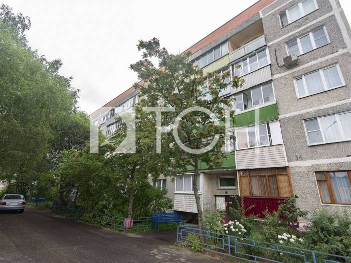 1-комн. квартира, Аничково, ул без улицы, 14 #id286450