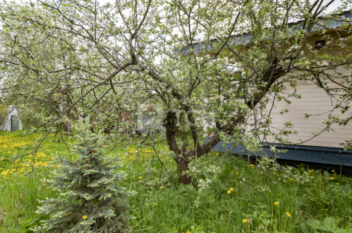 Дом, Сергиево-Посадский г.о., СНТ Торбеевские Зори, 19, #id735694