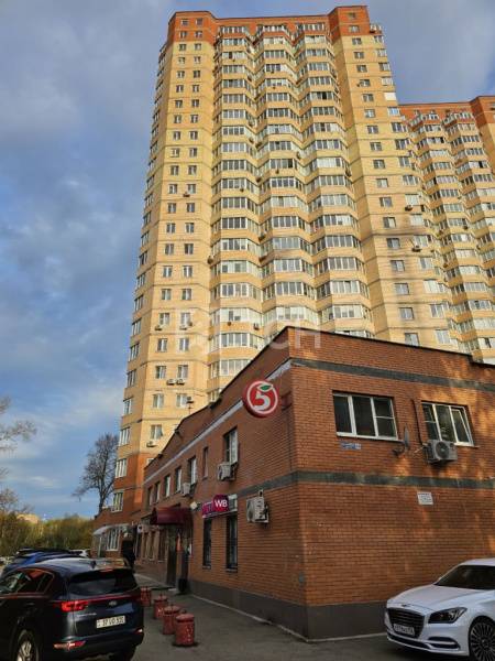 1-комн. квартира, Пушкино, 2-й Фабричный проезд, 16, #id1898044