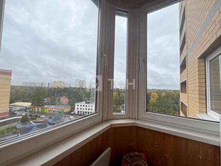 1-комн. квартира, Пушкино, Набережная улица, 35к3, #id1839476