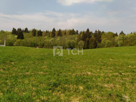 Земельный участок, Владимирская область, Александровский район, деревня Тургенево, #id359750