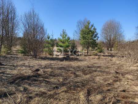 Земельный участок, г.о. Щёлково, деревня Новопареево, 1-я Амеревская улица, #id1328699