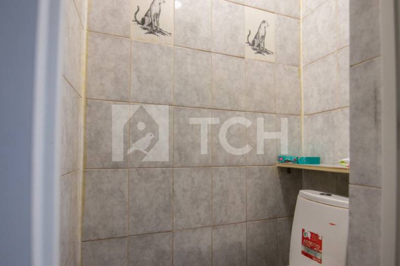 Дом, г.о. Лосино-Петровский, село Анискино, Ленинская улица, 17, #id515496