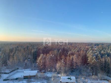 1-комн. квартира, дачный посёлок Зеленоградский, улица Зелёный Город, 3, #id1931374
