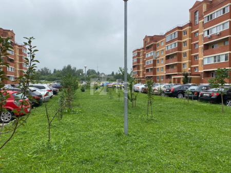 Квартира-студия, деревня Большие Жеребцы, 1к3, #id1348687