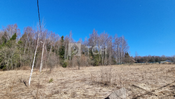 Земельный участок, Сергиево-Посадский г.о., территория Рязанцы, 232, #id1521899