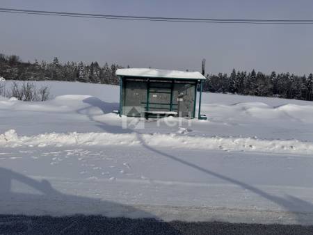 Земельный участок, г.о. Пушкинский, деревня Артёмово, 48, #id2028097