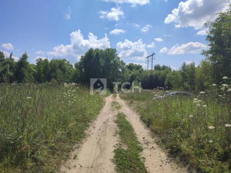 Земельный участок, Павлово-Посадский г.о., деревня Грибанино, 33/1, #id2237745