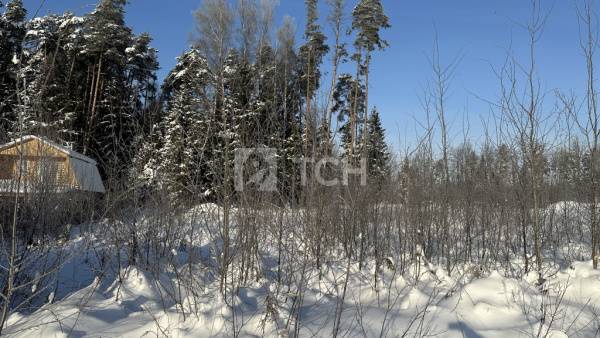 Земельный участок, г.о. Лосино-Петровский, деревня Митянино, Любимая улица, #id2003831