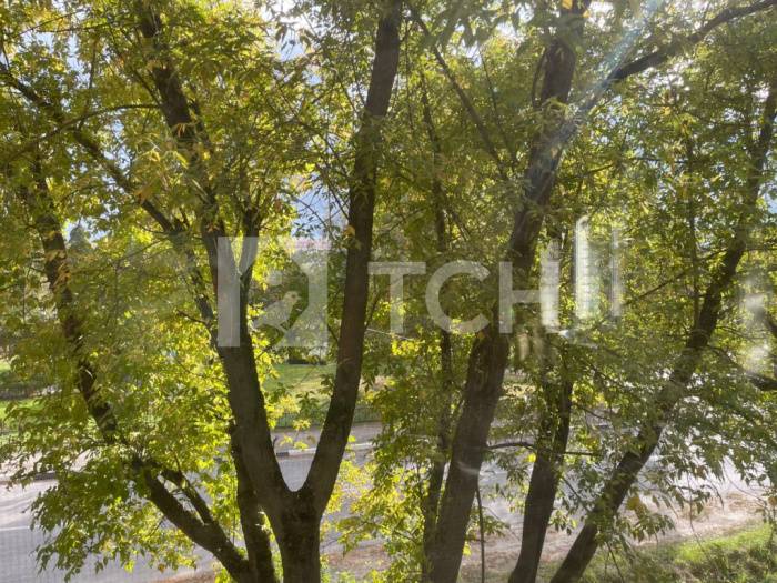 1-комн. Квартира, рабочий посёлок Лесной, улица Гагарина, 10, #id487570