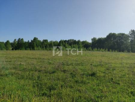 Земельный участок, Владимирская область, Киржачский район, деревня Офушино, #id1381471