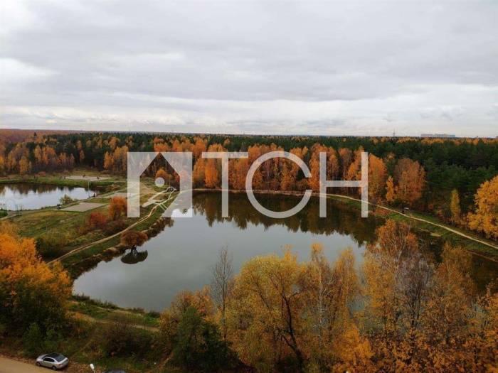 1-комн. квартира, Щелково, ул Неделина, 21 #id285147