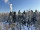 1-комн. квартира, Королёв, улица Комитетский Лес, 9, #id681723