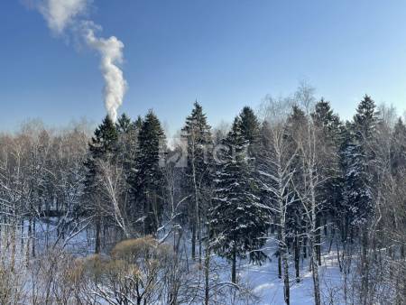 1-комн. квартира, Королёв, улица Комитетский Лес, 9, #id681723