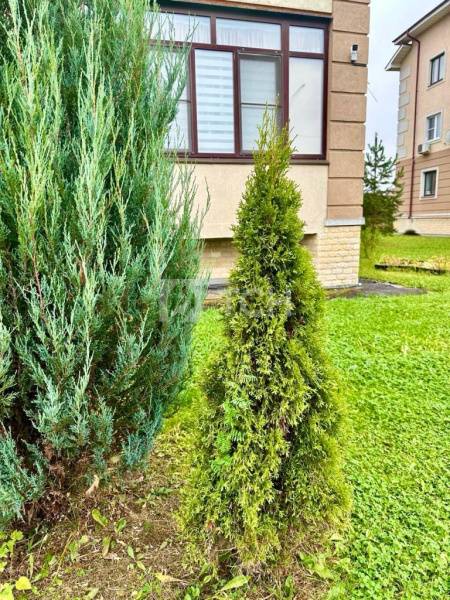 2-комн. квартира, посёлок Лесные Поляны, 170, #id1838121