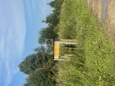 Дом, г.о. Щёлково, деревня Костыши, #id1704744