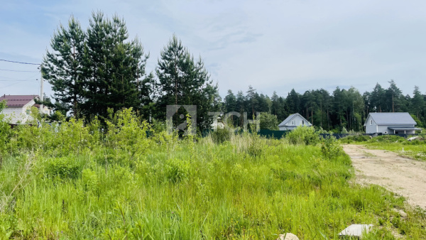 Земельный участок, г.о. Лосино-Петровский, деревня Митянино, Березовая улица, #id1403692