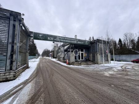 Земельный участок, г.о. Пушкинский, деревня Могильцы, #id1982786