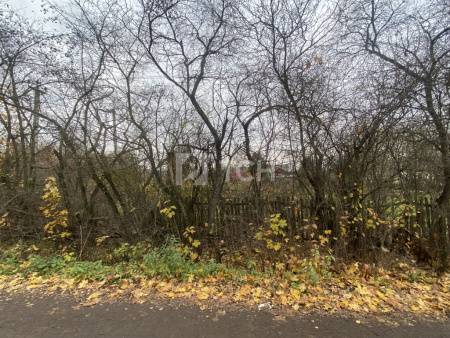 Земельный участок, г.о. Пушкинский, посёлок городского типа Софрино, 2-я Южная улица, #id1893653