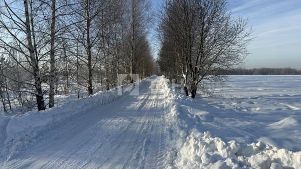 Земельный участок, Богородский г.о., #id2003410