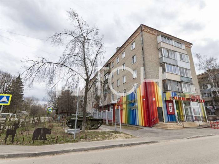1-комн. квартира, Пушкино, ул Акуловское шоссе, #id304373